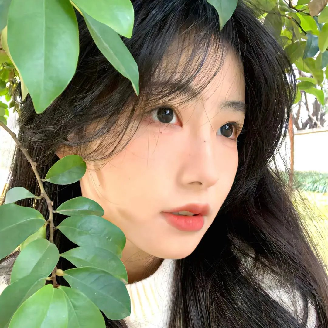 伍六七之最强发型师